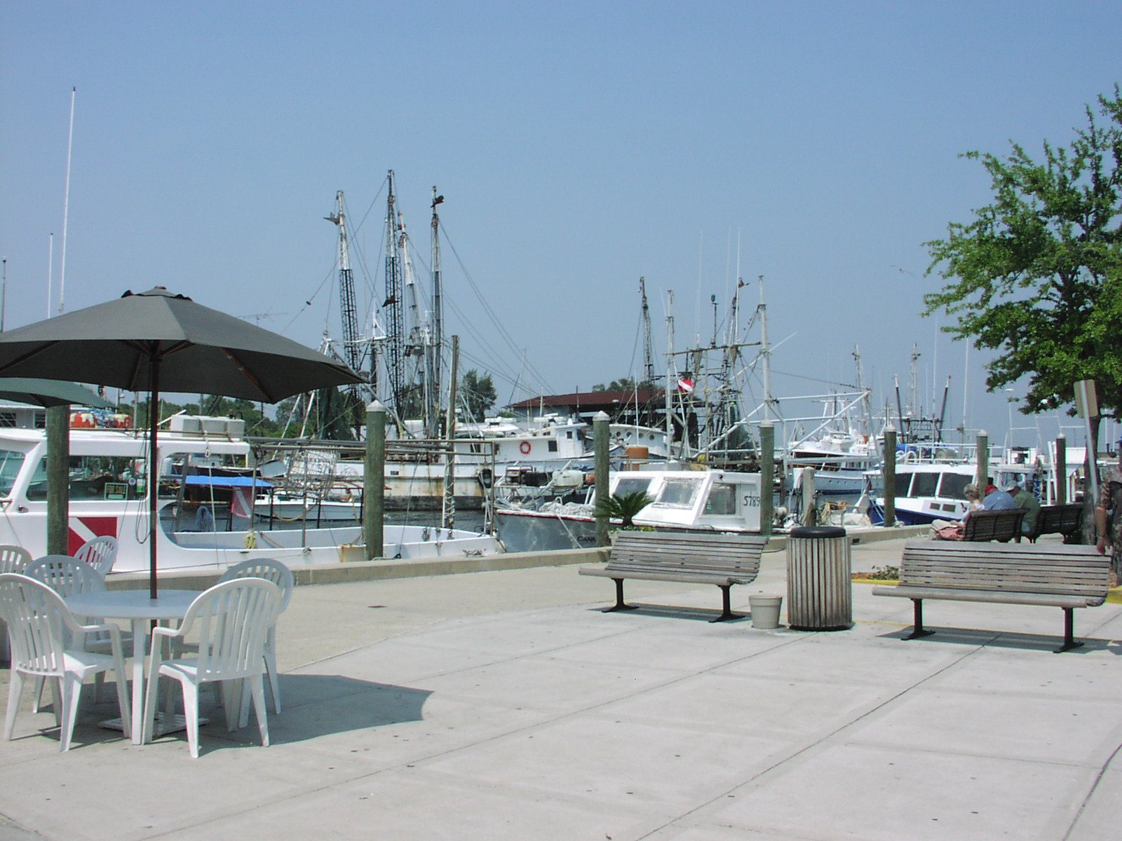 Sponge boats at the Tarpon Springs Sponge Docks